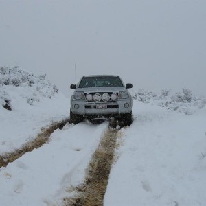 David k in the snow