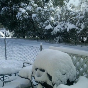My front yard.