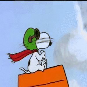 Giphy