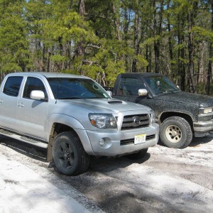 Wharton State Forest 2.27.2011