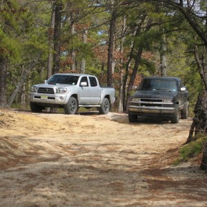 Wharton State Forest 2.27.2011
