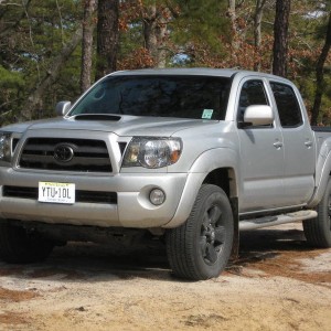 Wharton State Forest 2.27.2011