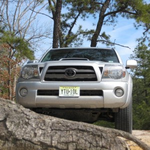 Wharton State Forest 2.27.2011