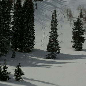 Just another day living the dream skiing untracked powder!