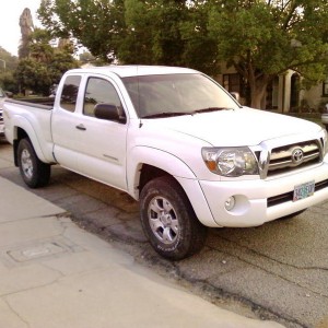 Stock