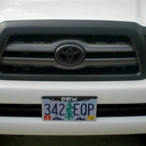 Painted Grill Flat Black