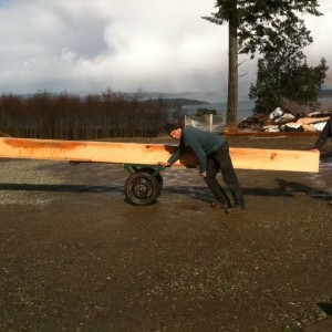 Moving timbers