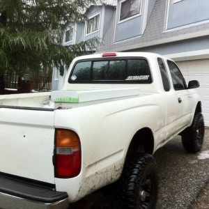 new tint