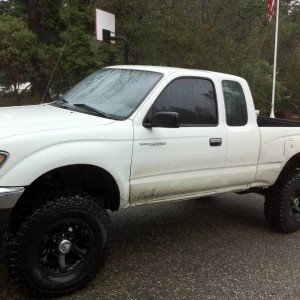 new tint