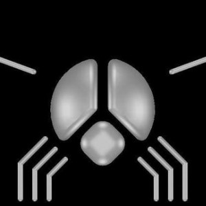 3D_FLY_LOGO_2_0