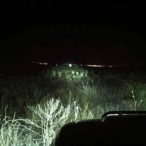 Hella 700 hid's