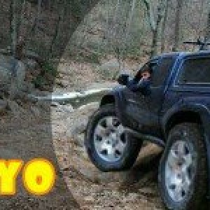 1299264871-picsay
