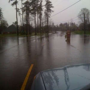 It rained a bit while i was at work. In 3 years, I've never seen water
