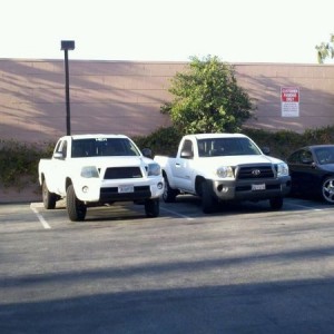 Baby Tacoma and teenage tacoma