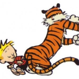 calvin-hobbes-bump
