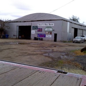 my new job
