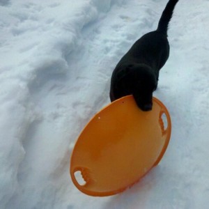 snow_3