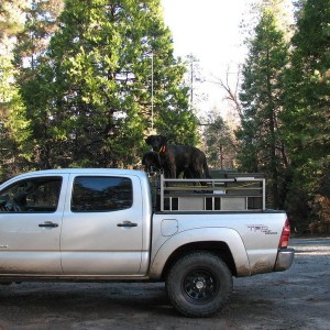 bear_hunting_2005_015