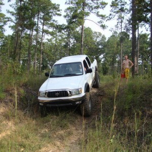 03 tacoma