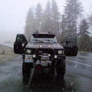 81 toyota