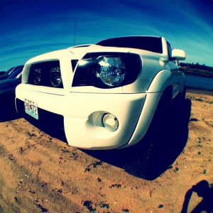 fiesta_island
