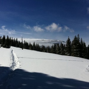 Sunny day: check New snow overnight: check 80th ski day this season: check 
