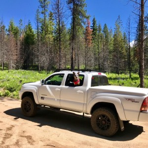 Hot on the trail