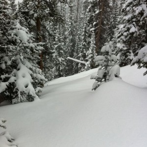 @ namyo. As promised some fresh turns today.