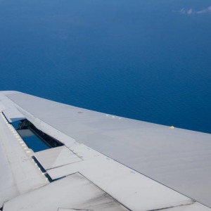 wing