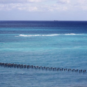 ocean11