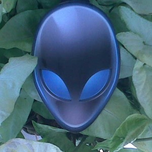 ALIEN HEAD.