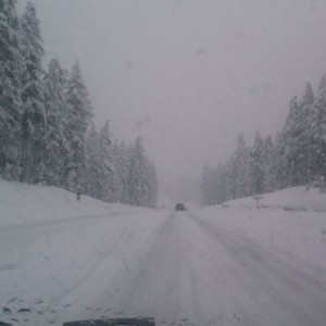 Its freaking mid march. And this is a GREAT thing.