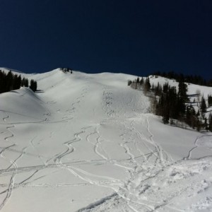 Another day banging away on bluebird powder!