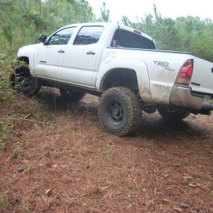 a little flex