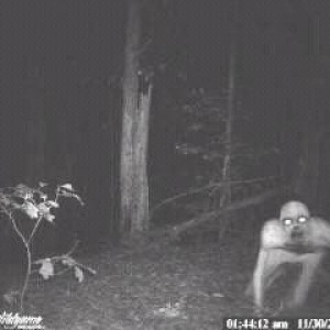 Trail cam stuff Real? No. Cool? Very