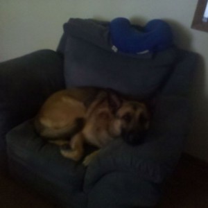 Jager just chillin in the chair that ain't his lol.
