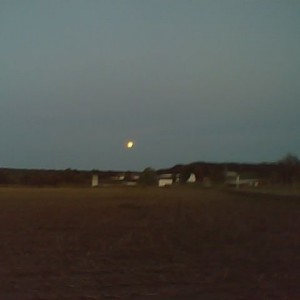 Not live, from last fall. Harvest moon.
