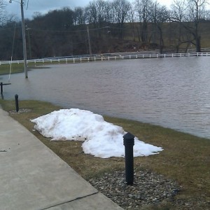River side view from the house
