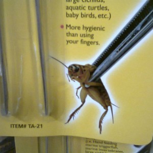 Roach clip...bahhahah