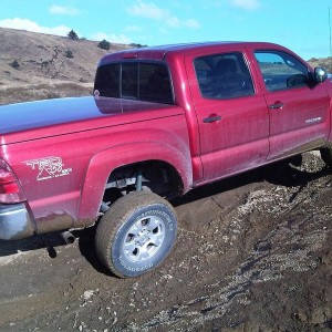 Flexing the taco