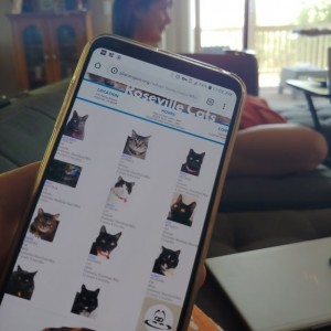 So @onegiraffe handed me her phone so i could look at her notification settings, and this is what's on the screen...