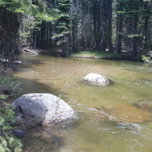 20190613_134618