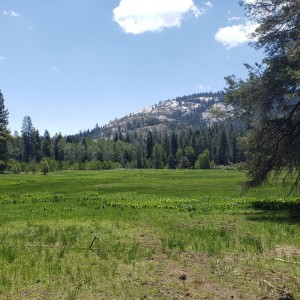 20190615_113259
