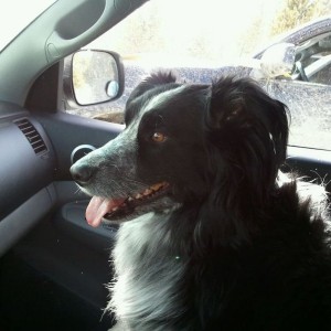 Co pilot.