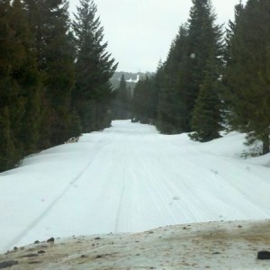 Out wheelin...
