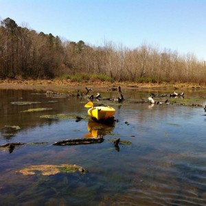 Kayak and fishing on the Saluda River, SC