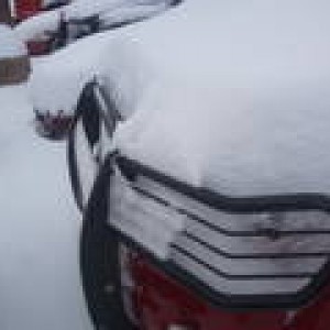 th_2011-01-20102647