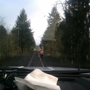 liveiSeu9w