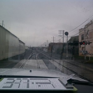 liveCY7LbG