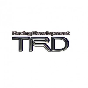 TRDRDSILVER